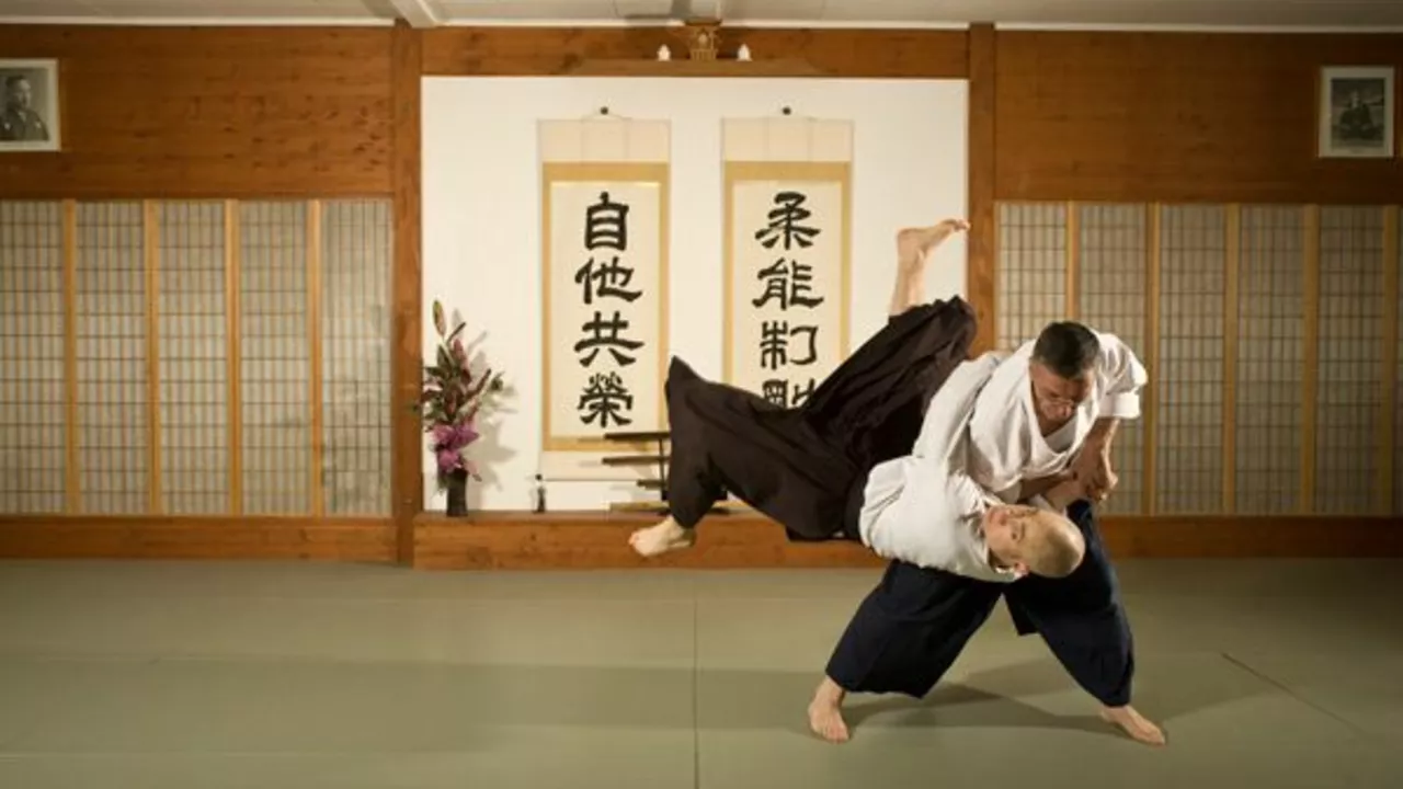 Quels sont les arts martiaux qui sont dérivés du jujutsu japonais?